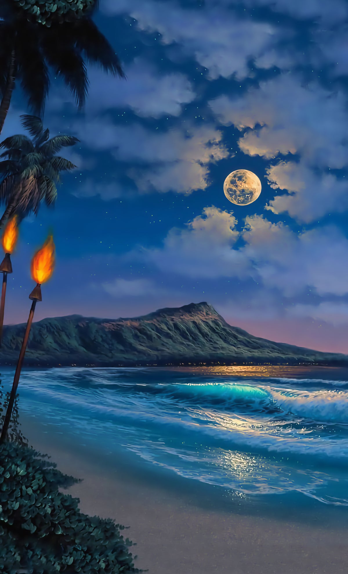 Zandman's Hawaii